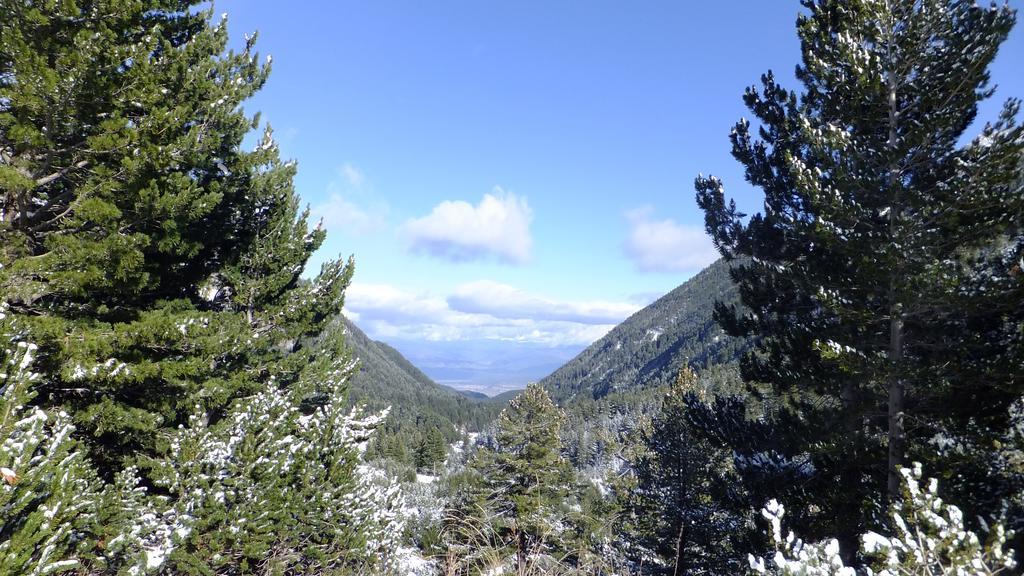 Bansko Prespa Ski Penthouse Værelse billede