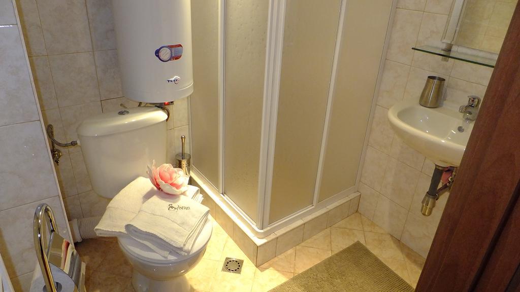 Bansko Prespa Ski Penthouse Værelse billede