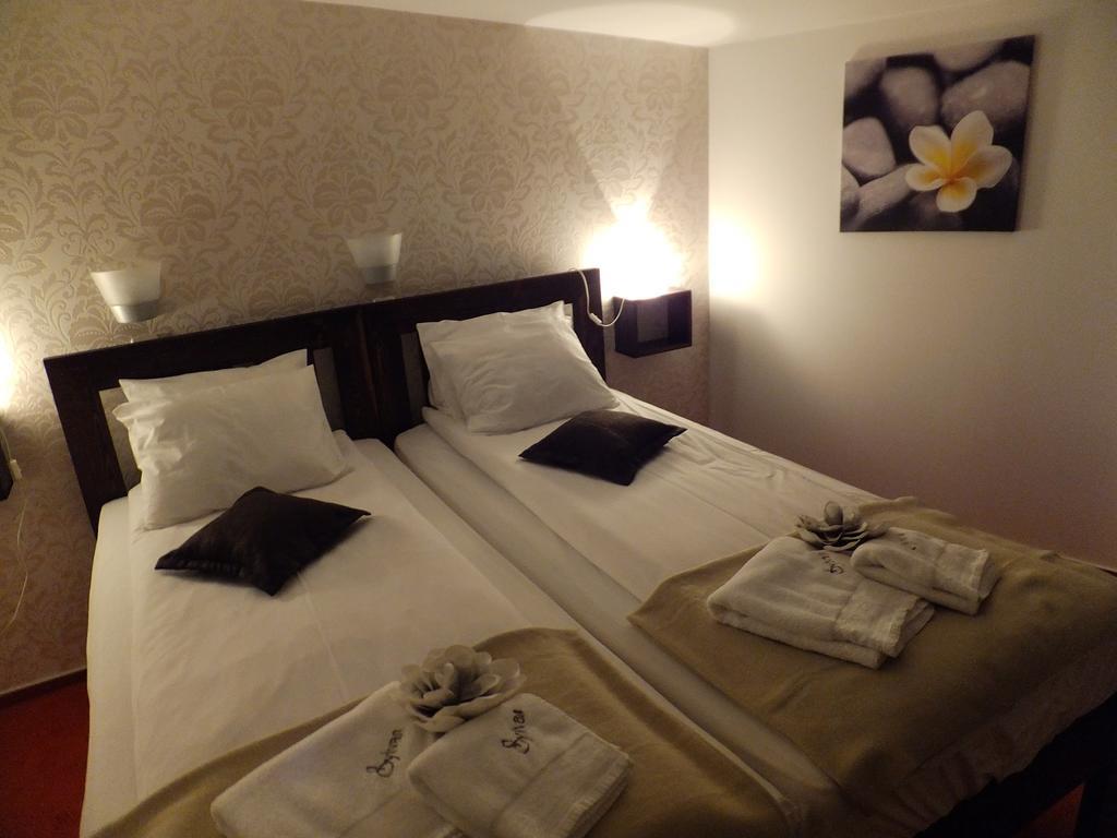 Bansko Prespa Ski Penthouse Værelse billede